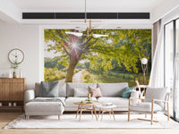 Sunlit Woodland Canal Wall Mural with yellow sunlight for a bright living space., GD9861