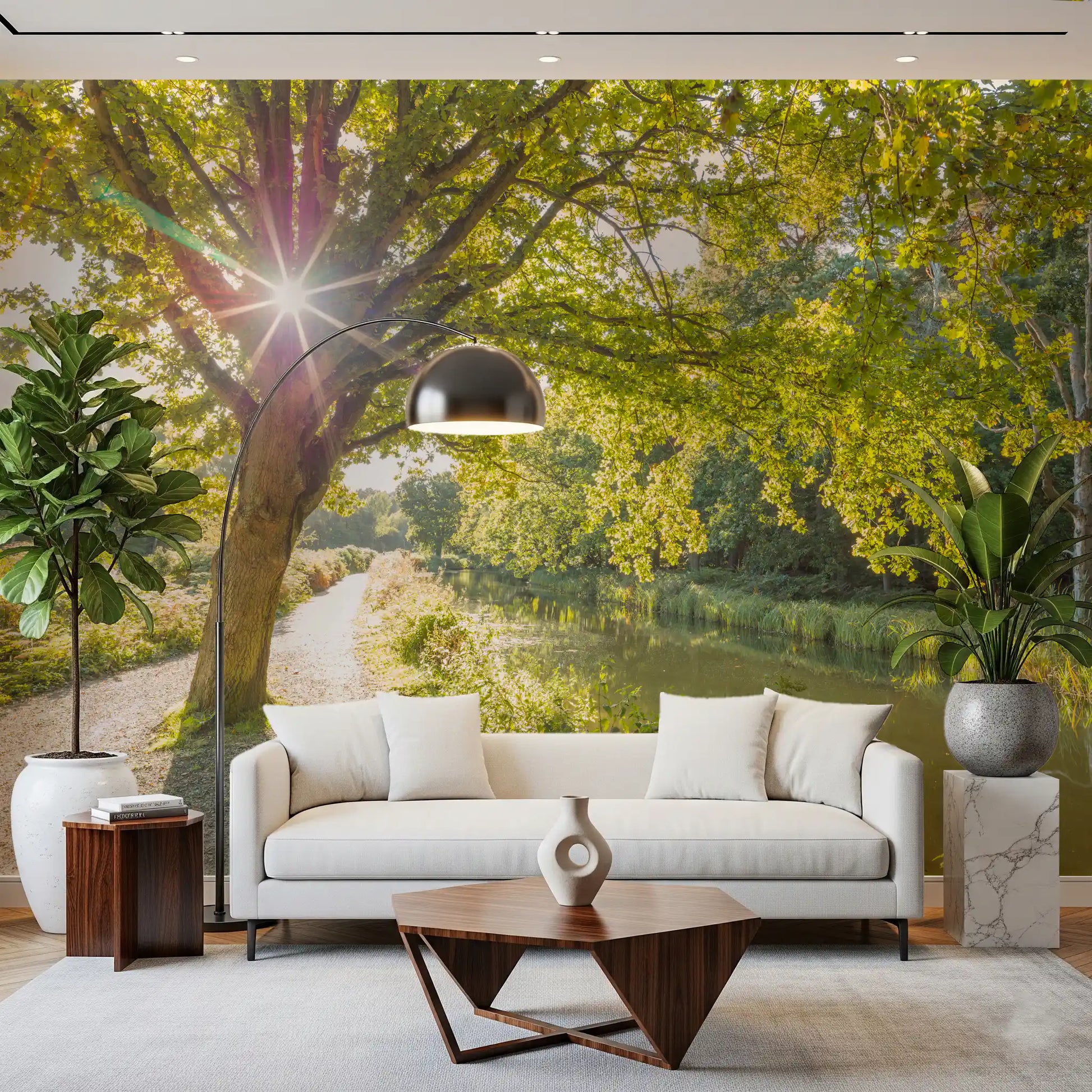 Large sunlit tree and gravel path landscape for a modern lounge wall mural., GD9861