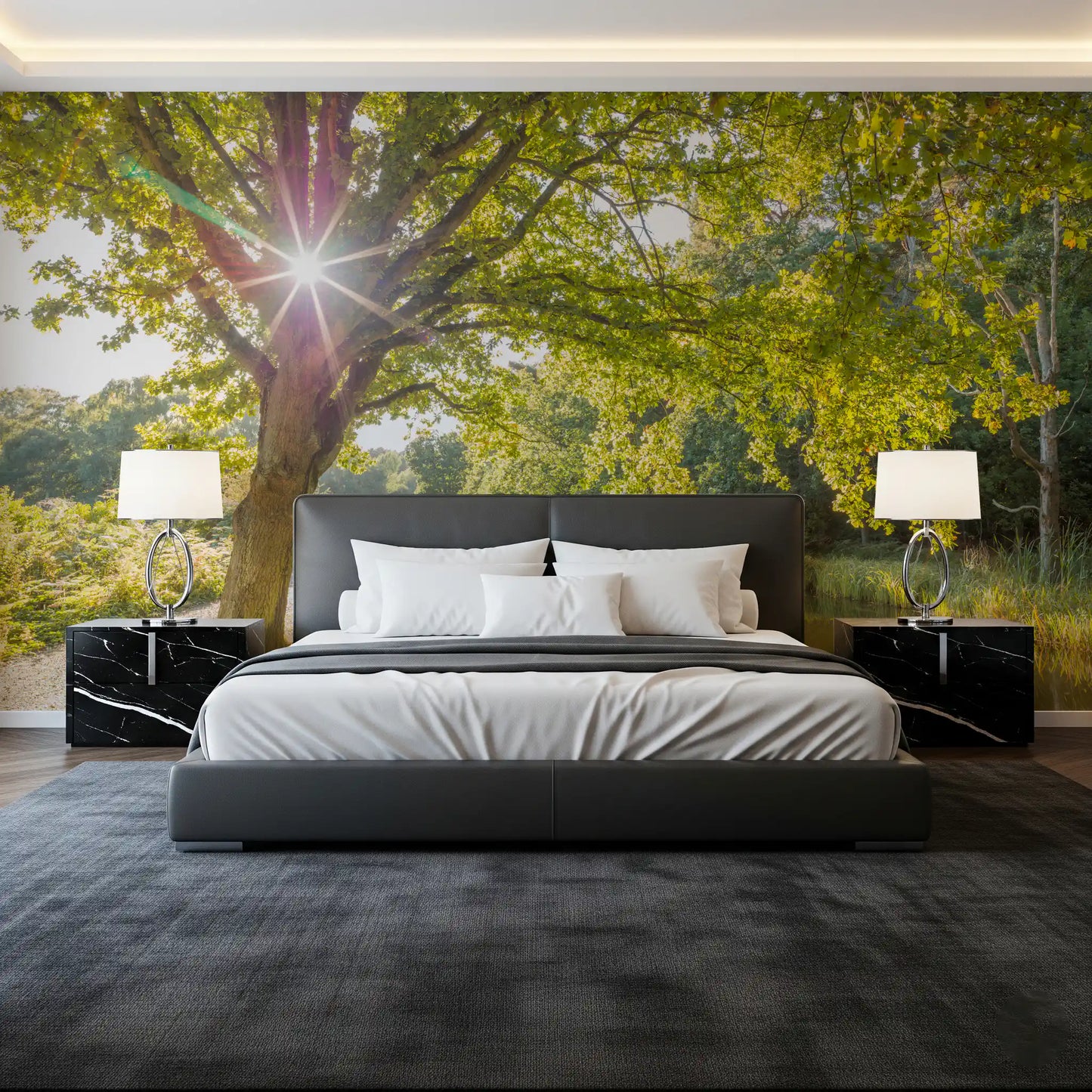 Bright woodland landscape wall mural with sunrays and water reflection., GD9861