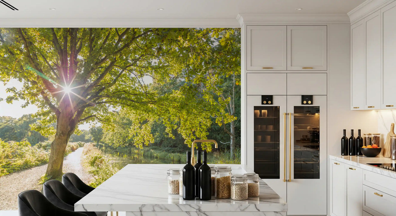 Sunlit Woodland Canal Wall Mural