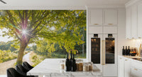 Bright sunburst through tree branches over a canal path wall mural for kitchen., GD9861