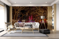 Radio City Night Glow Wall Mural with water fountain visuals for living room., GD9867