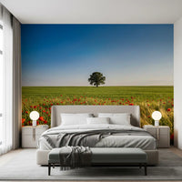 Meadow landscape wall mural with open field with green grass and tree., GD9896