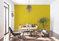 Entryway showcases a Mustard Linen Texture Mid Century Modern Wallpaper.