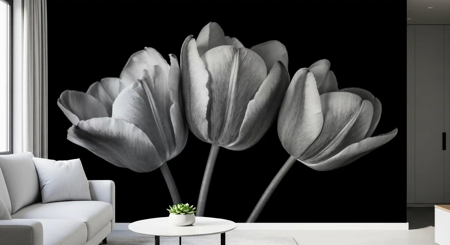 Elegant Tulip Shadows Wall Mural
