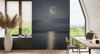 Soft cloud layer and pale moon glow in a grey night sky mural for study room.