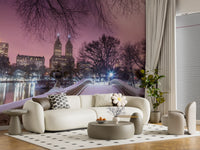 Pink dusk Central Park mural with reflections on a calm winter lake. 
