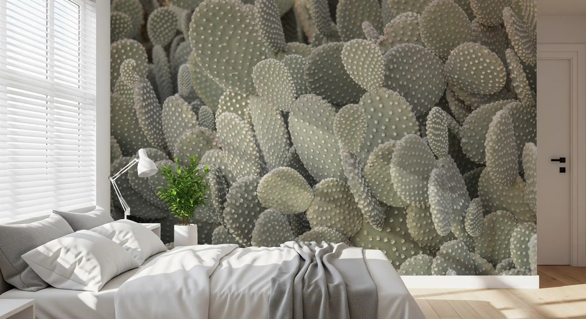 Cacti background mural with grid-like spine pattern across curved surfaces in bedroom., GD10421