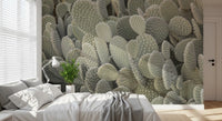 Cacti background mural with grid-like spine pattern across curved surfaces in bedroom., GD10421