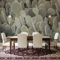 Cacti background wall mural displayed on a modern dining room., GD10421