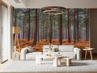 Pine Woods and Ember Ferns wall mural with tall trees and golden ferns., GD10424