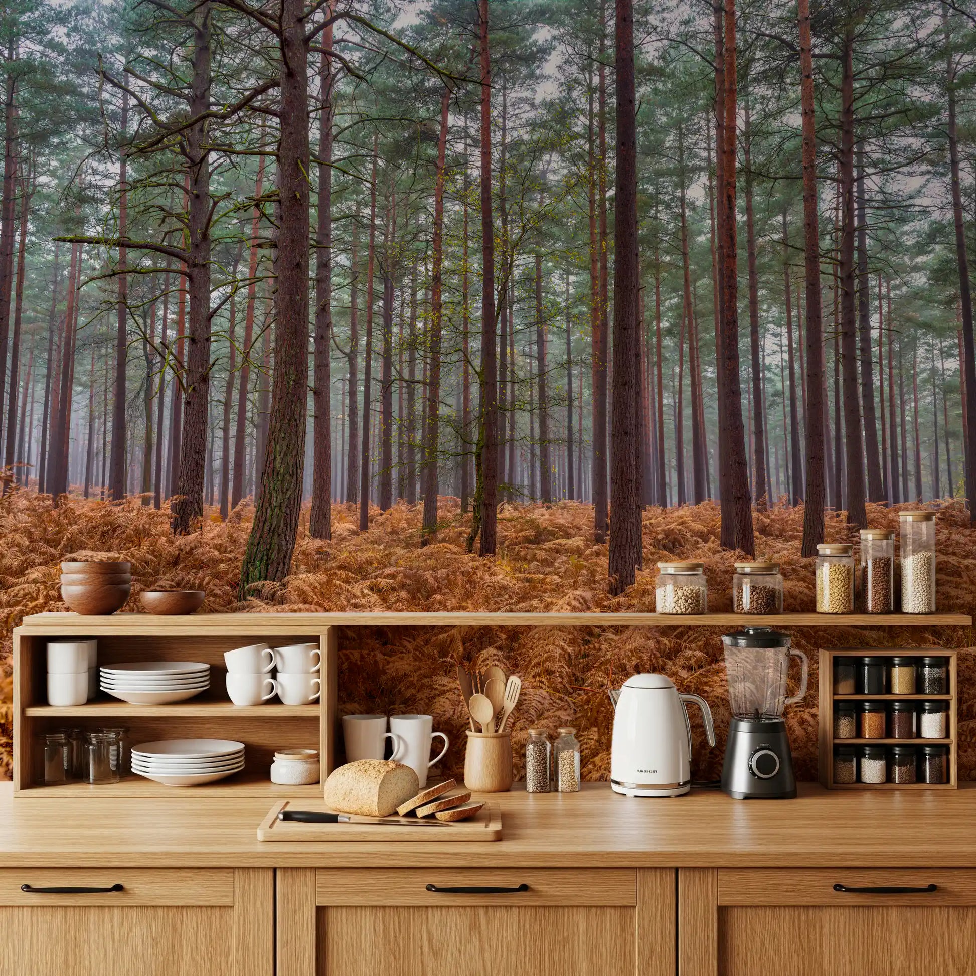 Diffused light through pine canopy in autumn forest wall mural for kitchen., GD10424