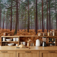 Diffused light through pine canopy in autumn forest wall mural for kitchen., GD10424