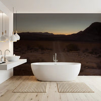 Desert wall mural with Dusty trail through arid scrubland in bathroom., GD10425