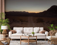 Sandy beige foreground with scattered rocks in desert path wall mural., GD10425