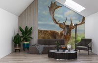 Woodland regent wall mural with soft blue-grey mist and wild grass., GD10429