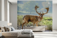 Spotted fallow deer stag wall mural with tawny brown tones in bedroom., GD10429