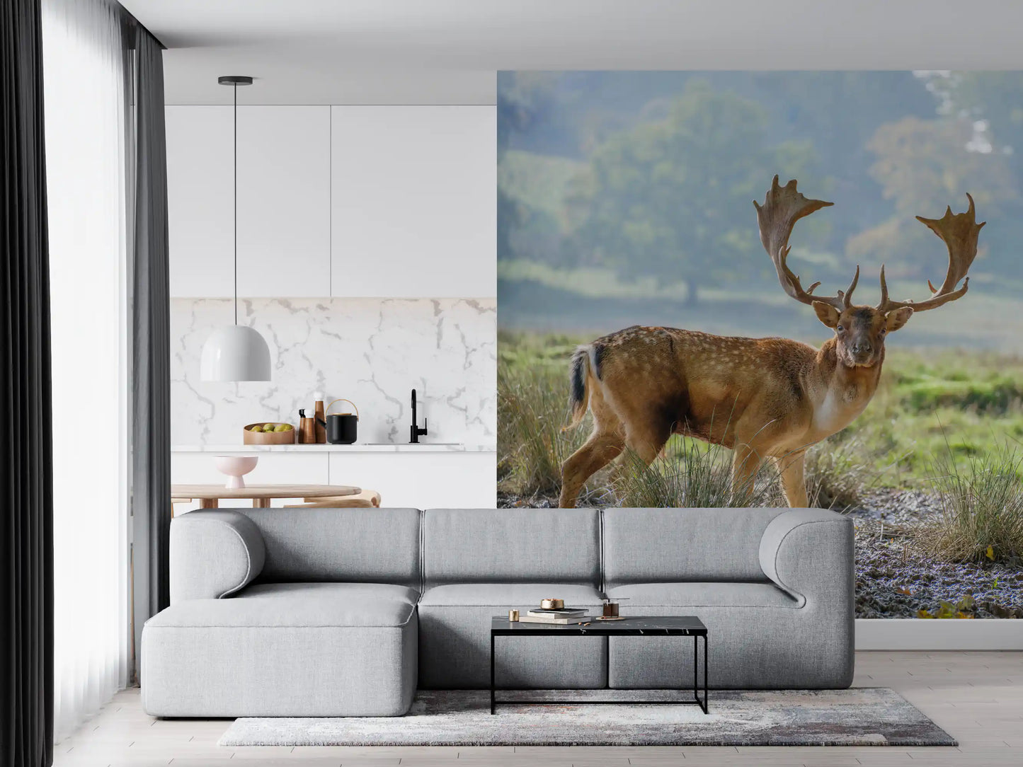 Fallow deer stag mural showing spotted brown coat and palmate antlers., GD10429