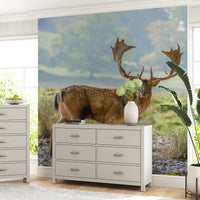 Misty green landscape wall mural with deer stag and scattered pebbles., GD10429