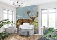 Misty meadow deer wall mural with green treeline in background., GD10429