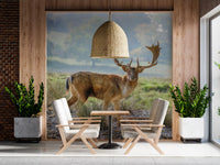 Woodland regent wall mural with fallow deer stag and broad antlers., GD10429