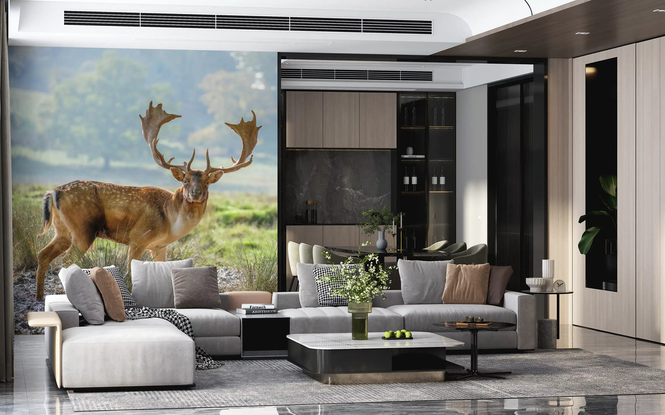 Broad palmate antlers on fallow deer stag wall mural in morning light. 
