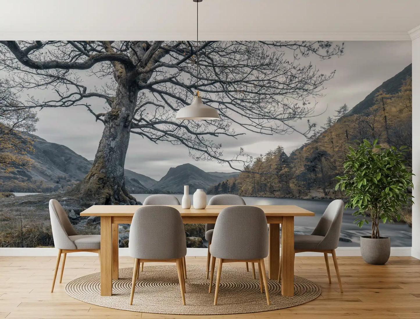 Ancient oak silent waters wall mural with bare tree by mountain lake., GD10431