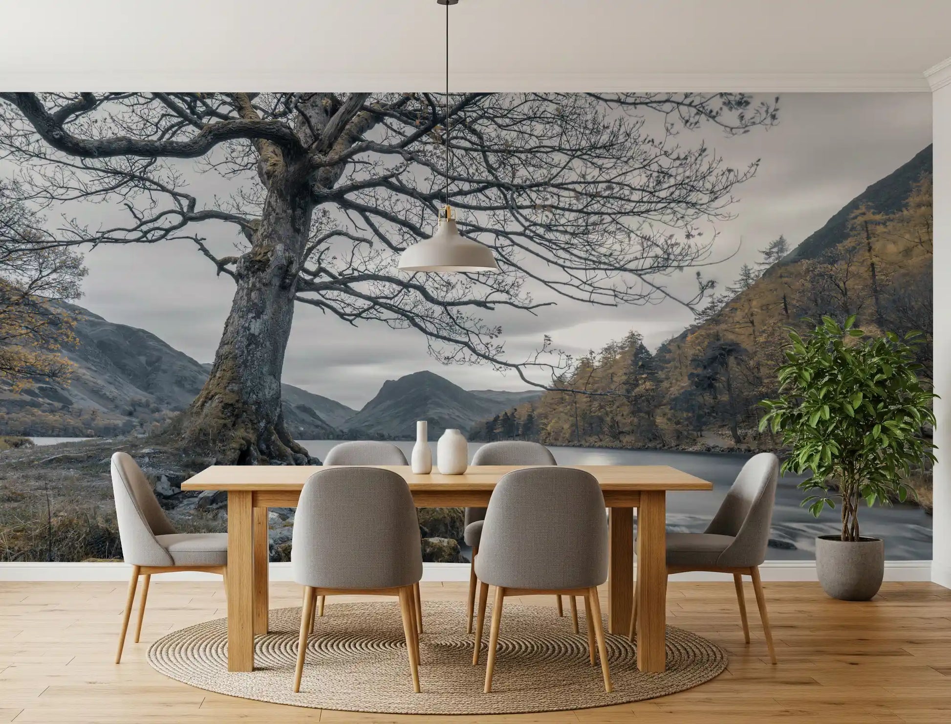 Ancient oak silent waters wall mural with bare tree by mountain lake., GD10431