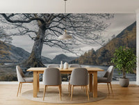 Ancient oak silent waters wall mural with bare tree by mountain lake., GD10431
