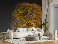 Golden solitude wall mural featuring a full canopy of autumn leaves in living area., GD10438