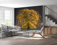 Single golden tree wall mural with dramatic grey tones and cloudy sky., GD10438