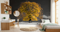 Yellow foliage tree wall mural on a muted grey field with dark horizon in bedroom., GD10438