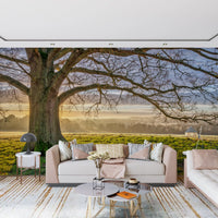 Misty sunrise wall mural with an oak tree casting long shadows in dining room., GD10441