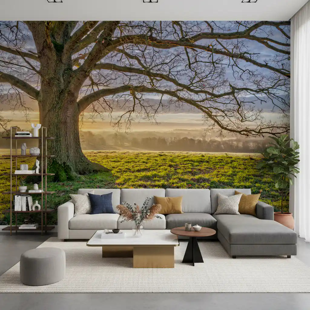 Wall mural showing Towering oak trunk and sprawling limbs against a golden morning sky., GD10441
