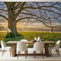 Golden dawn landscape mural with hazy tree line and warm horizon glow in dining room., GD10441