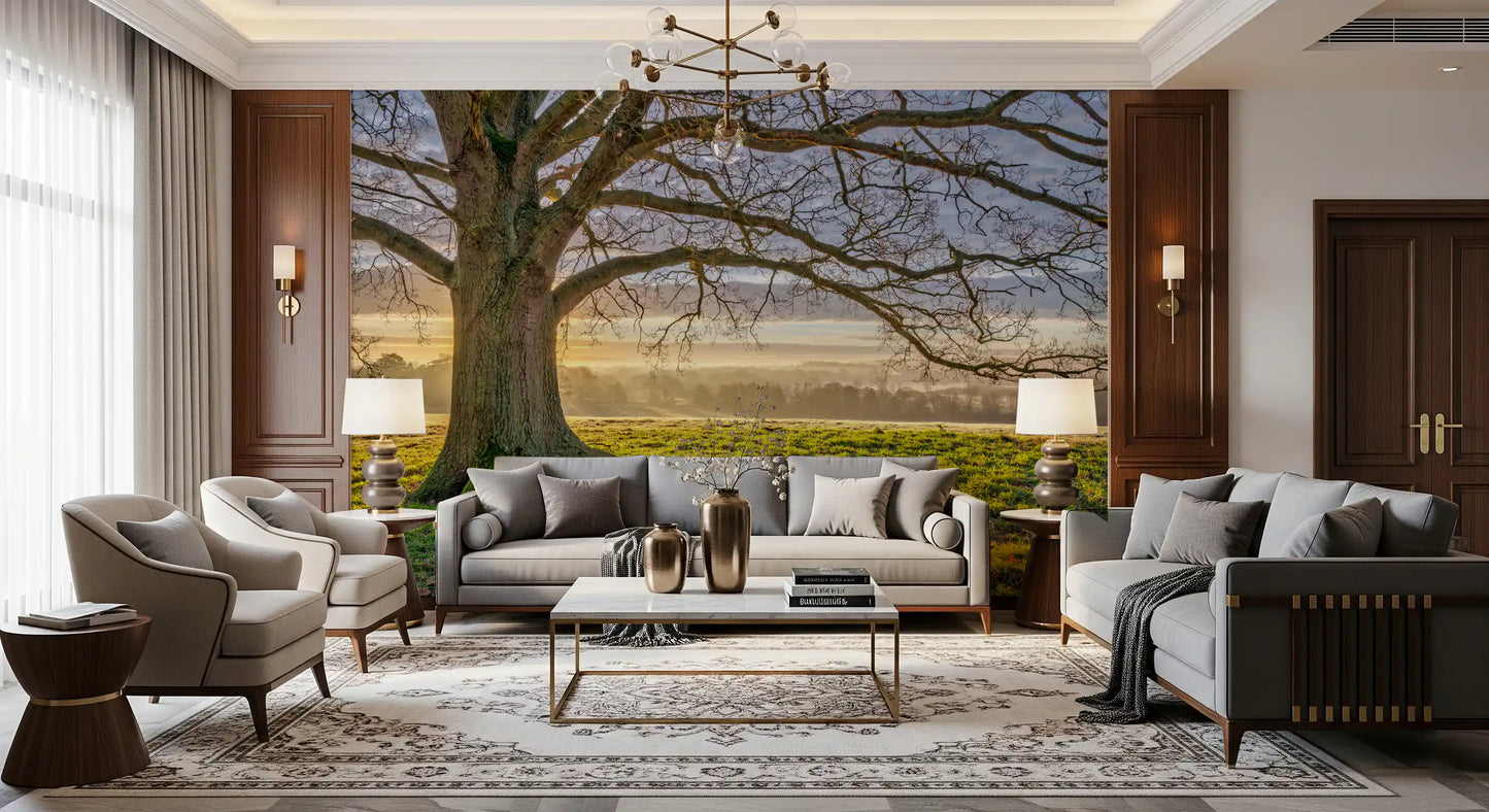 Golden dawn oak tree wall mural with bare branches over a misty field., GD10441