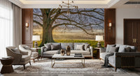 Golden dawn oak tree wall mural with bare branches over a misty field., GD10441