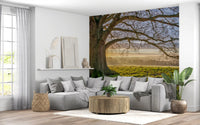 Golden dawn oak tree wall mural in a living room with warm tones., GD10441