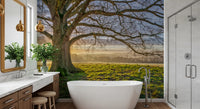 Bare oak canopy wall mural with dew-covered green field beneath in bathroom., GD10441