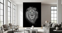 Front-facing lion portrait mural in greyscale with vivid blue gaze., GD10442