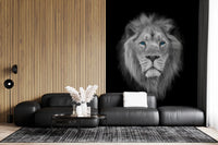 Azure eye king wall mural with full mane fading into black surround., GD10442
