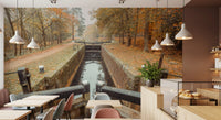 Silent Locks wall mural with Bare branches and autumn canopy., GD10443