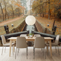 Still water reflections in Ember Leaves Silent Locks mural for dining room., GD10443