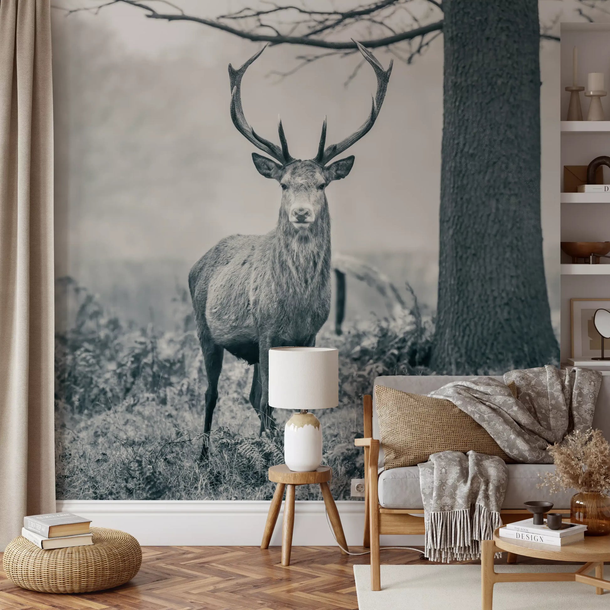 Misty grey woodland background in forest monochrome wall mural., GD10444