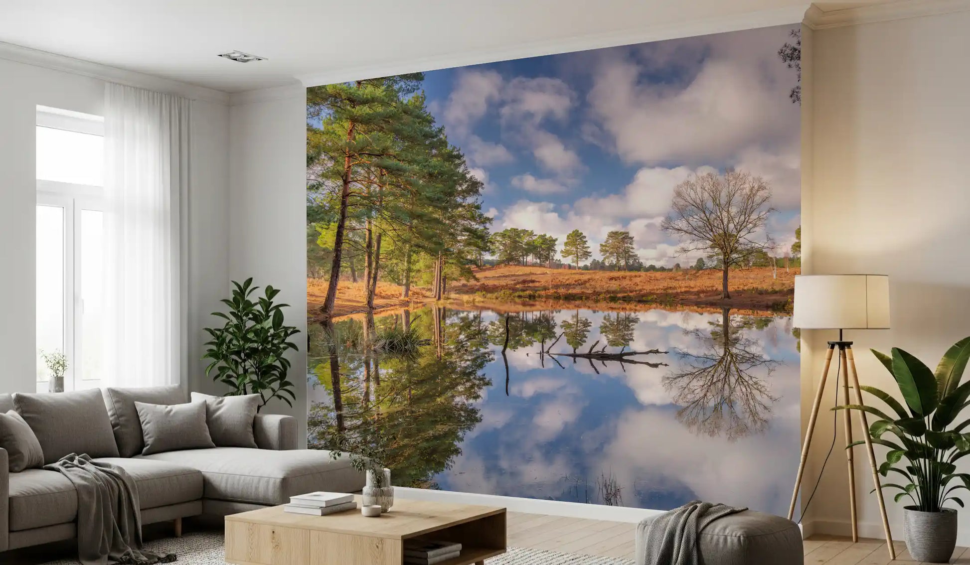 Serene Woodland wall mural with still pond and pine trees., GD10446