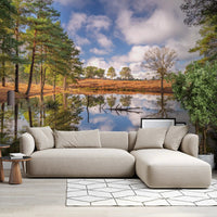 Green pine foliage framing the pond in this woodland wall mural., GD10446