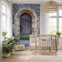 Weathered wooden door wall mural with green moss and natural grain in toddler room., GD10450