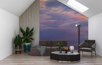 Wispy overlapping clouds in pink and blue-grey twilight wall mural., GD10453