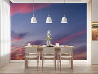 Sweeping coral-pink cloud streaks across lavender dusk sky wall mural., GD10454