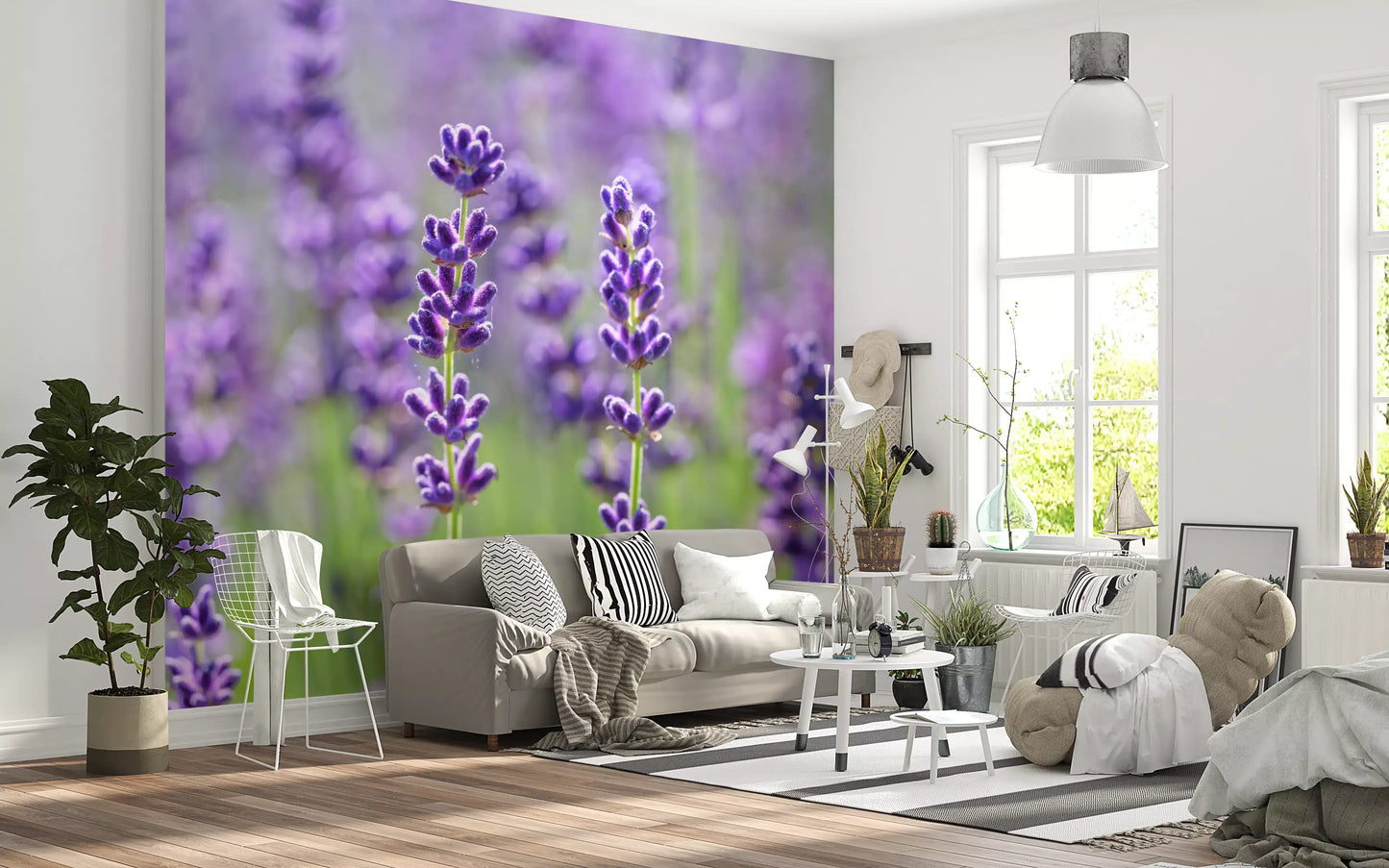 Lavender blooms wall mural with purple floral accent in a living room., GD10456